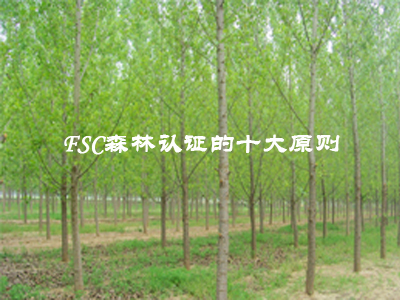 国际森林认证的十大原则