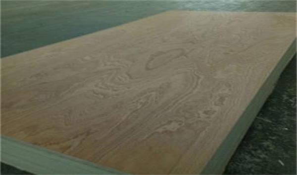 25X1530X3100MM胶合板