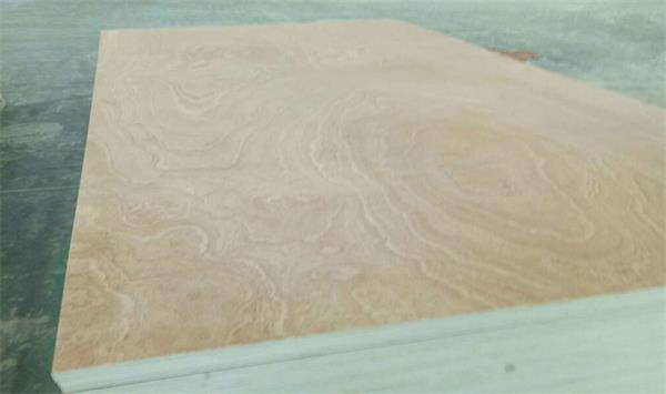 30x1530x3100MM胶合板